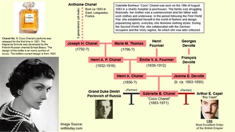 chanel without coco|coco Chanel family tree.